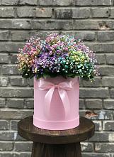Цветочная композиция из Гипсофила и Розы в шляпной коробке в Кантышево