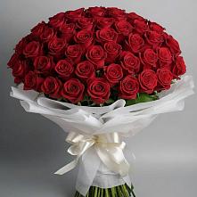 Букет 101 Красная роза Блэк Мэджик #REPLACE_PRED# Кантышево