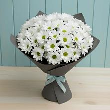 Букет цветов из:  Хризантемы #REPLACE_PRED# Кантышево
