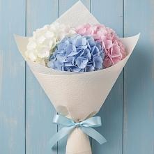 Букет цветов из:  Гортензия #REPLACE_PRED# Кантышево