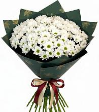 Букет цветов из:  Хризантемы в Кантышево