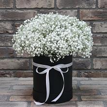 Цветочная композиция из Гипсофила в шляпной коробке #REPLACE_PRED# Кантышево