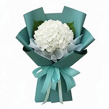 Букет цветов из:  Гортензия #REPLACE_PRED# Кантышево